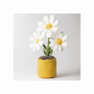 Jellycat Daisy | YBHC-78231